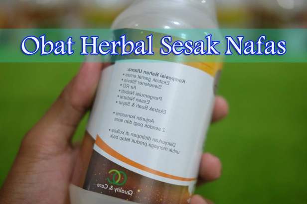 Obat Herbal Sesak Nafas